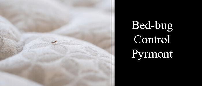 Bed Bug Control Pyrmont
